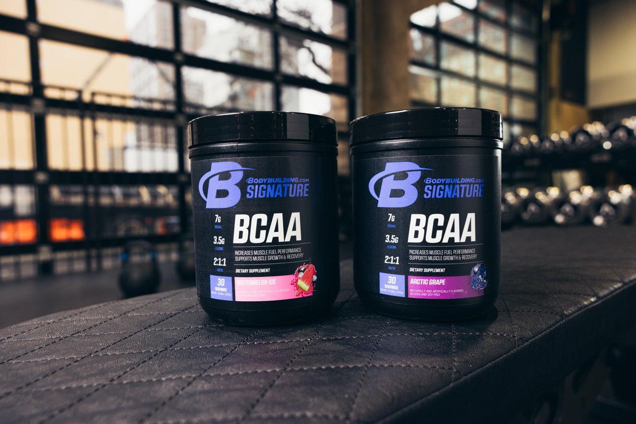 Bodybuilding Signature BCAA